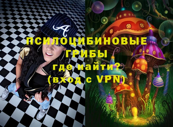 тгк Алзамай
