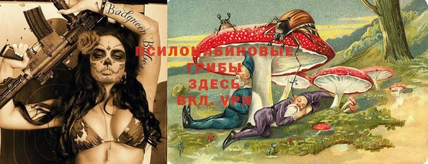 тгк Алзамай