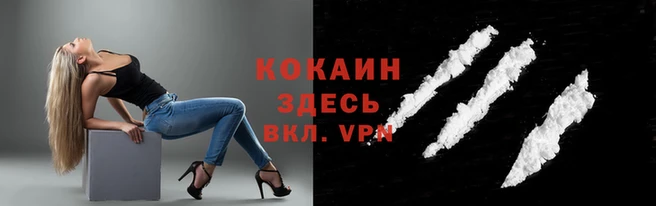 тгк Алзамай