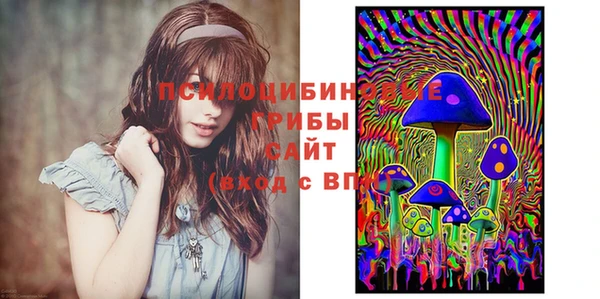 соль ск Алексеевка